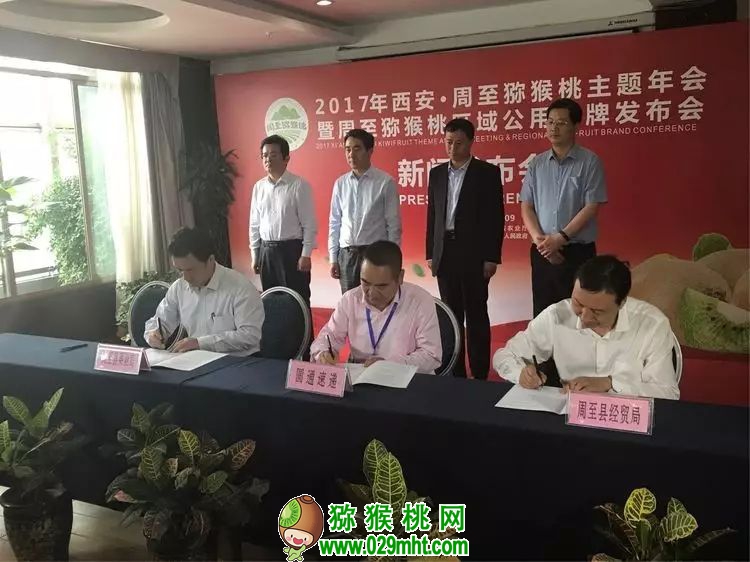 豪门国际官方网站图片