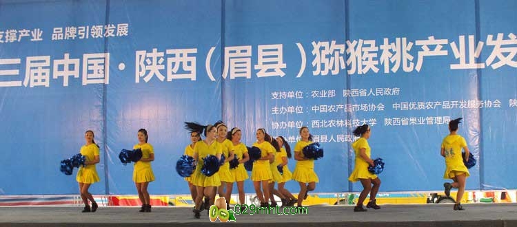 第三届中国&middot;陕西(眉县)豪门国际猕猴桃产业发展大会现场