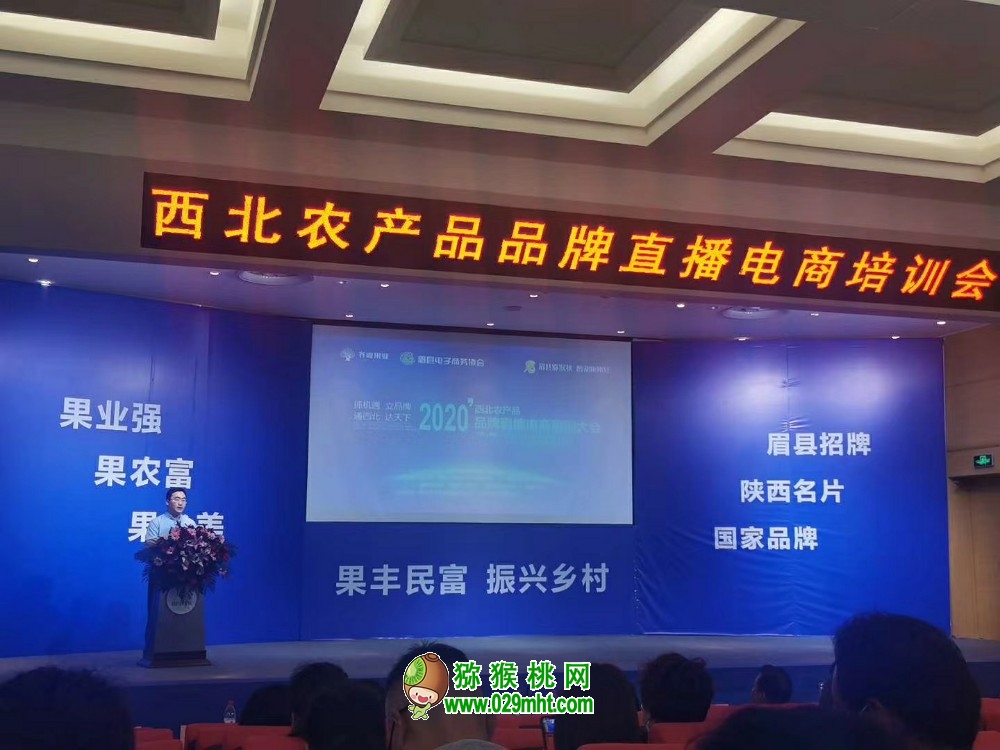 豪门国际官方网站图片