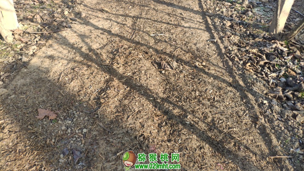 豪门国际 11cf8