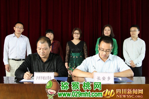 豪门国际官方网站图片