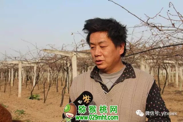 豪门国际官方网站图片