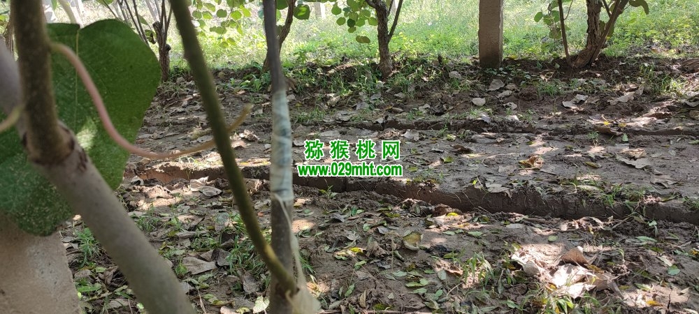 豪门国际 15e2a