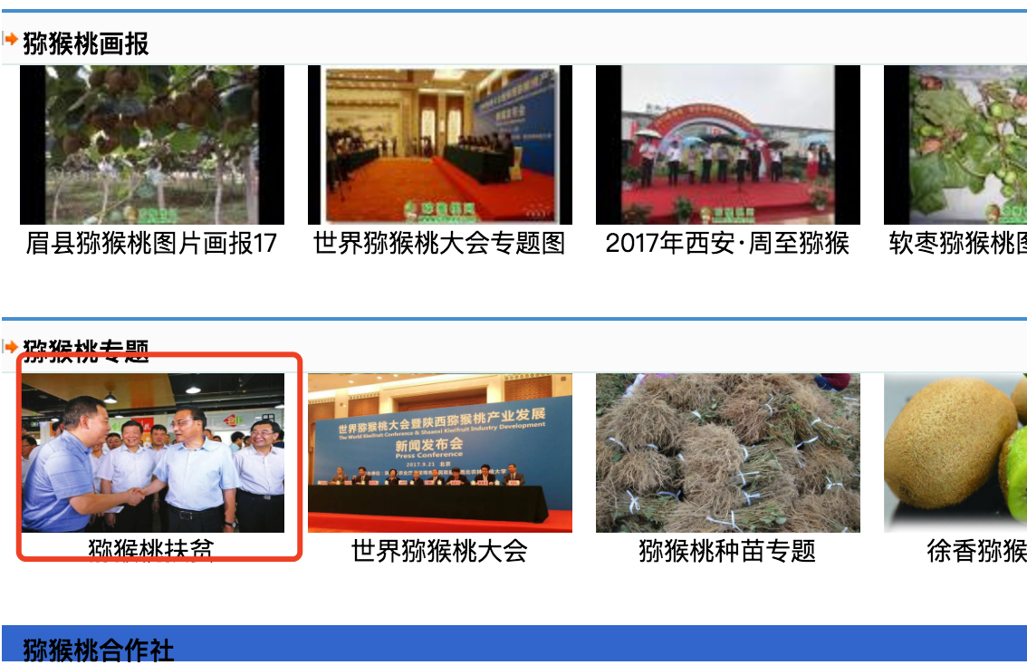 豪门国际官方网站图片