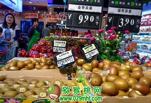豪门国际官方网站图片
