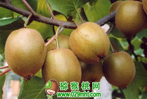 豪门国际官方网站图片
