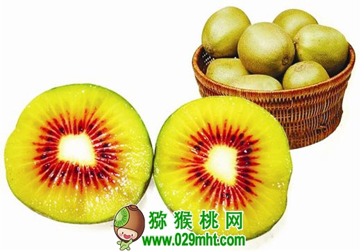 豪门国际 0745d