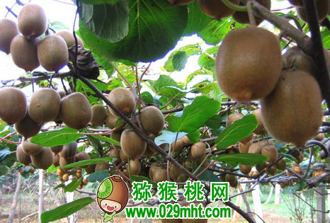 豪门国际官方网站图片
