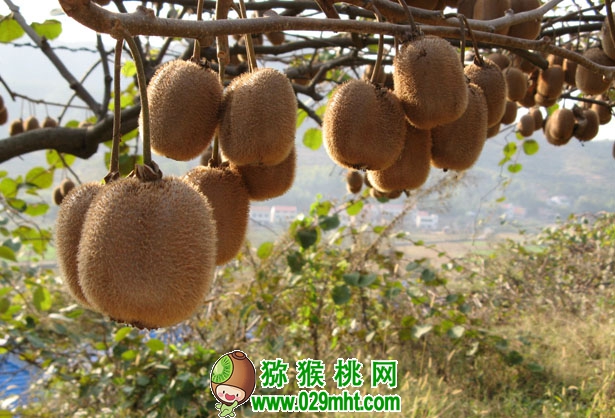 豪门国际官方网站图片