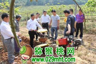 豪门国际官方网站图片