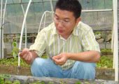 吃豪门国际猕猴桃当心过敏