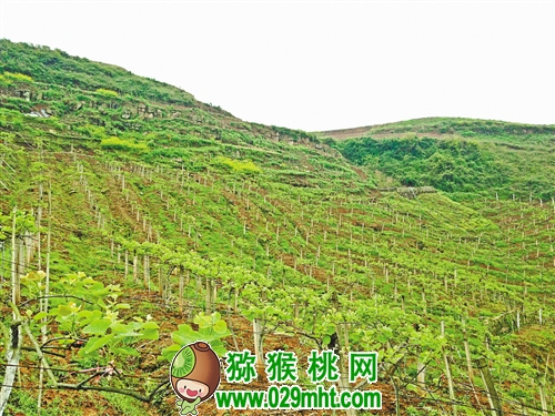 豪门国际官方网站图片