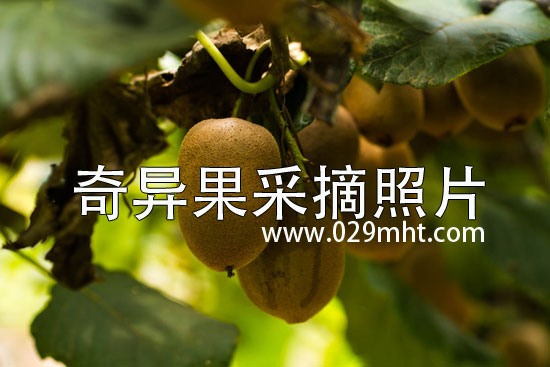 豪门国际 bfe93