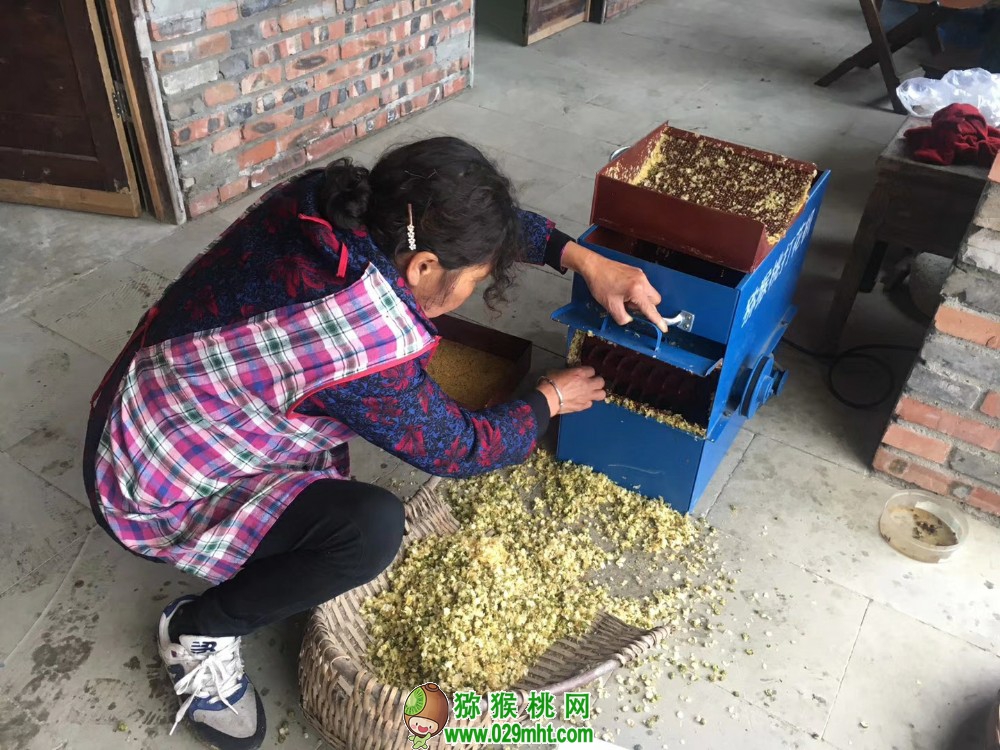 豪门国际 e882f