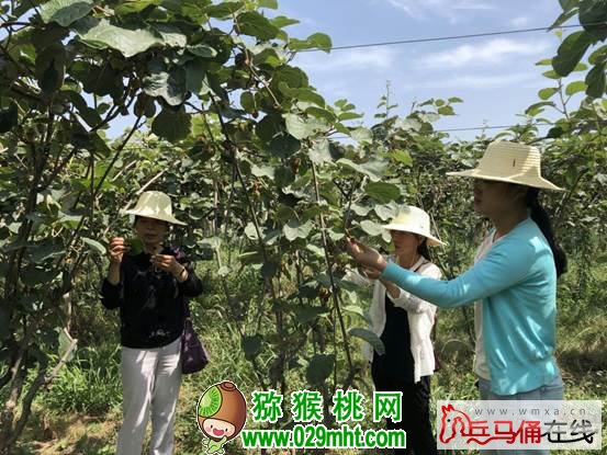 豪门国际 d8d67