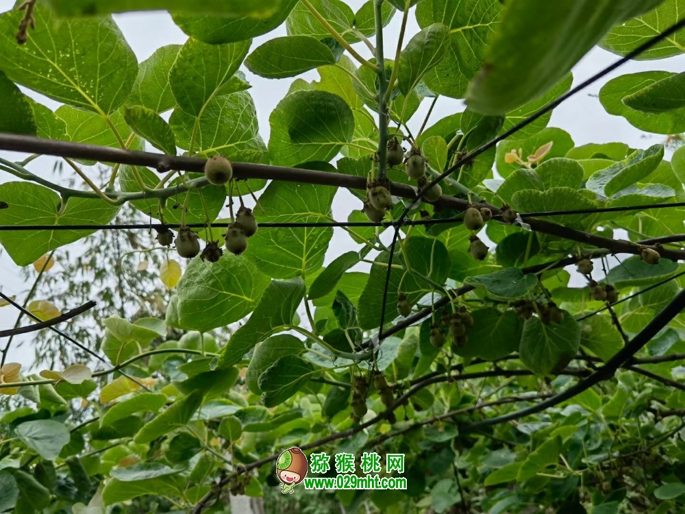 豪门国际官方网站图片