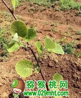豪门国际官方网站图片