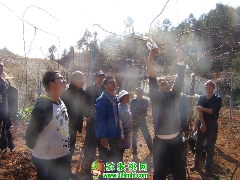 豪门国际官方网站图片
