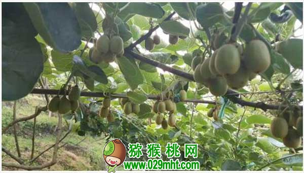 豪门国际官方网站图片