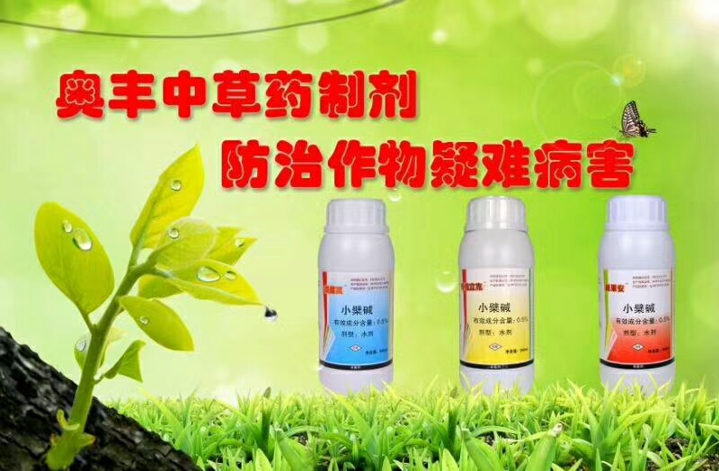 豪门国际 92c9b