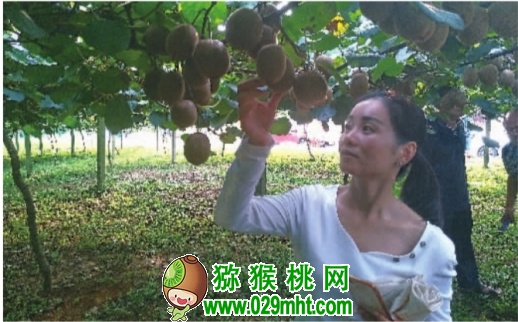豪门国际官方网站图片