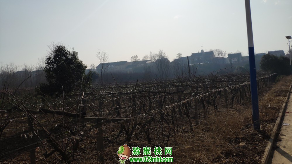 豪门国际 dd85f