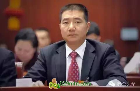 豪门国际官方网站图片