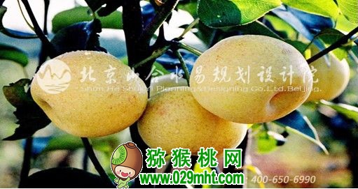 豪门国际官方网站图片