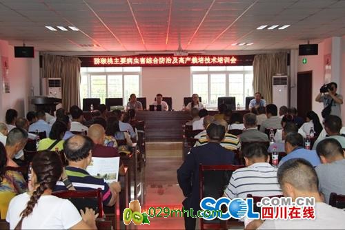 豪门国际官方网站图片