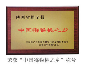 豪门国际 ad6f3