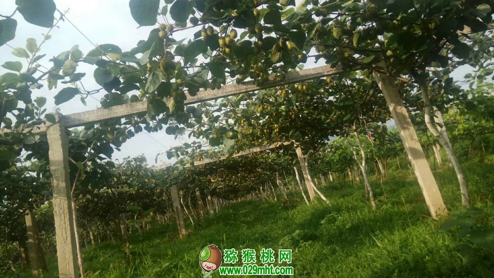豪门国际官方网站图片