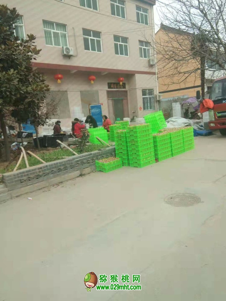 豪门国际 9dde8