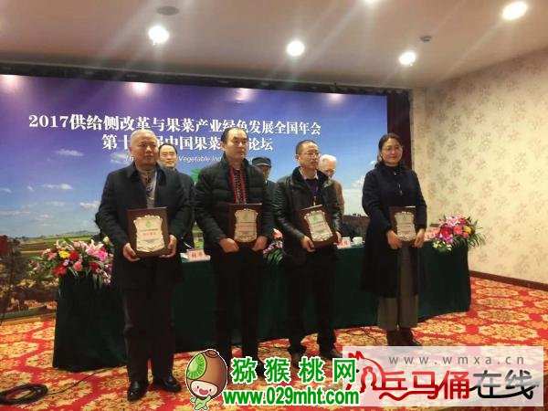 豪门国际官方网站图片