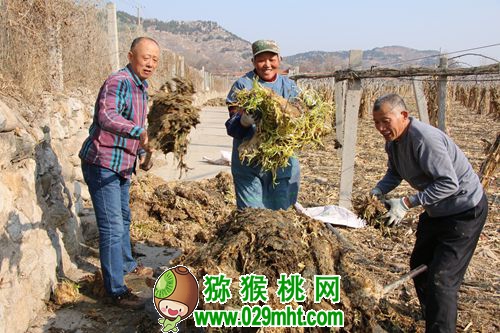 豪门国际官方网站图片