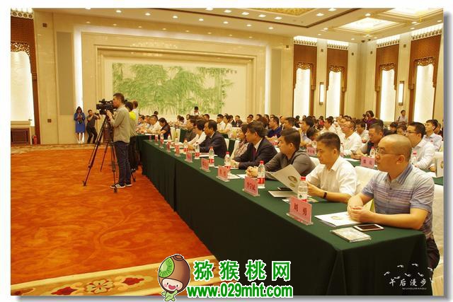 豪门国际官方网站图片