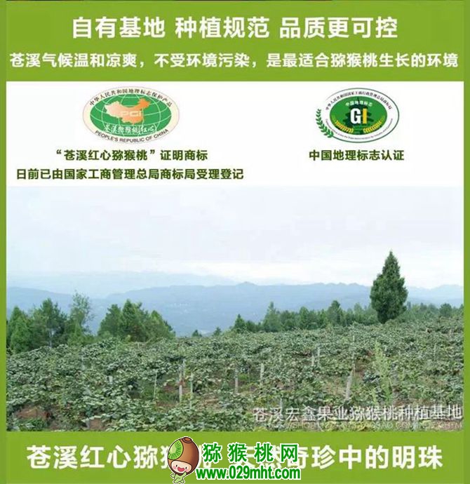 豪门国际官方网站图片