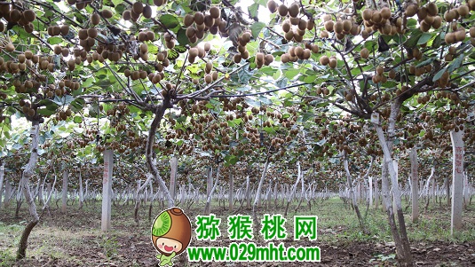 豪门国际官方网站图片