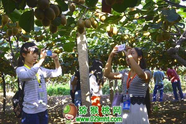 豪门国际官方网站图片