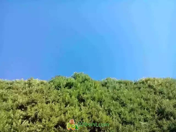 豪门国际官方网站图片