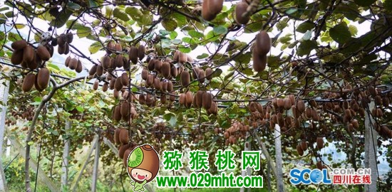 豪门国际官方网站图片