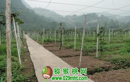 豪门国际官方网站图片