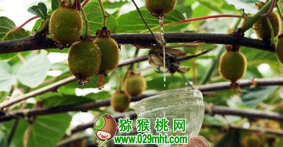 豪门国际 9aad3