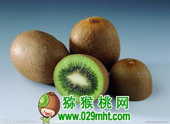 豪门国际官方网站图片