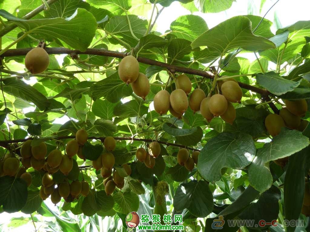 豪门国际官方网站图片