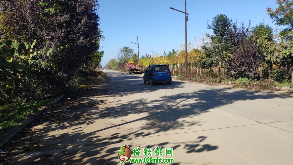 豪门国际 34895