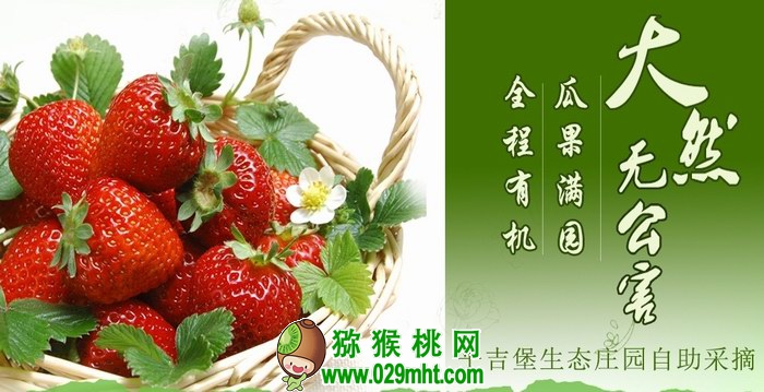 宁夏农垦平吉堡生态庄园