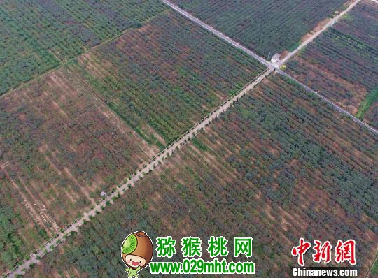 豪门国际官方网站图片