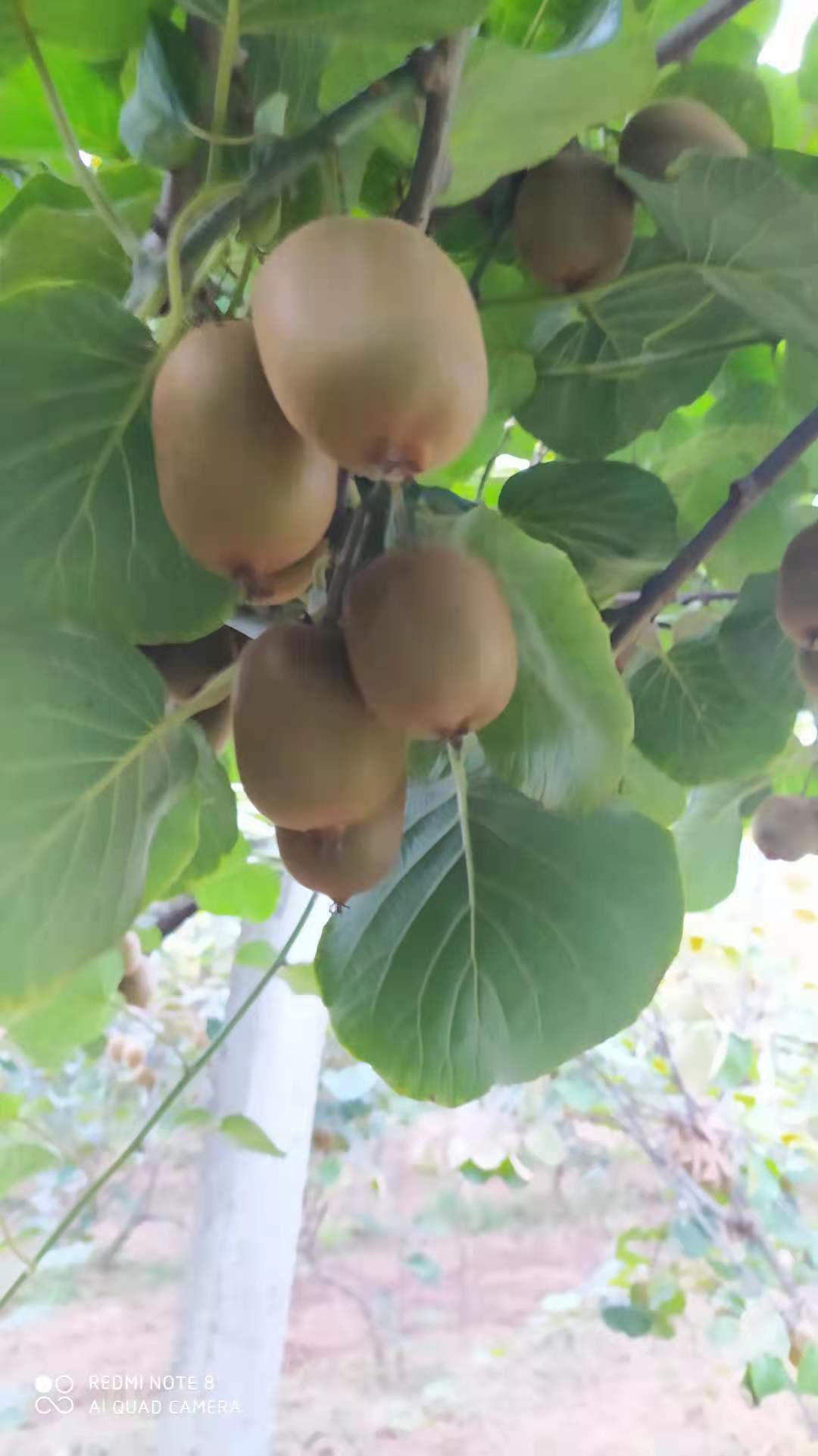 豪门国际 61583