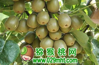 豪门国际官方网站图片
