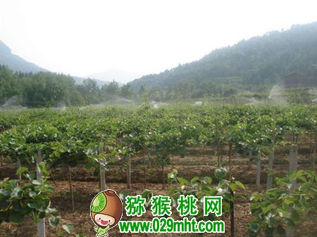 豪门国际官方网站图片